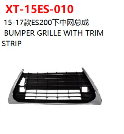 BUMPER GRILLE WITH TRIM STRIP