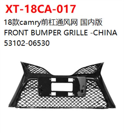 FRONT BUMPER GRILLE -CHINA