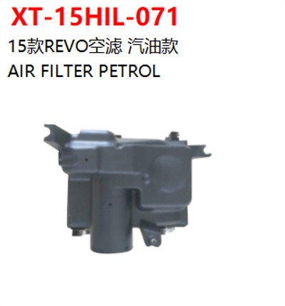 AIR FILTER PETROL