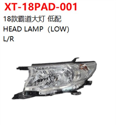 HEAD LAMP（LOW）