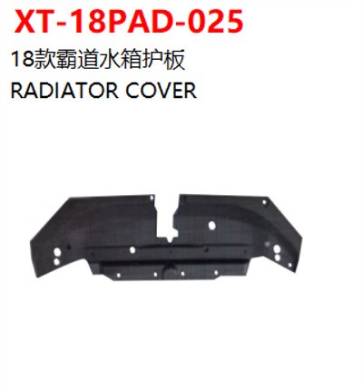 RADIATOR COVER