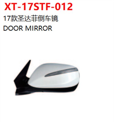 DOOR MIRROR