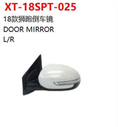 DOOR MIRROR