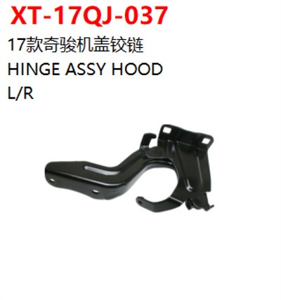 HINGE ASSY HOOD