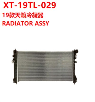 RADIATOR ASSY