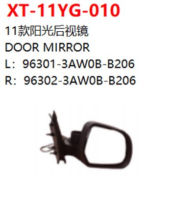 DOOR MIRROR