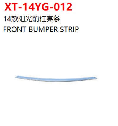 FRONT BUMPER STRIP