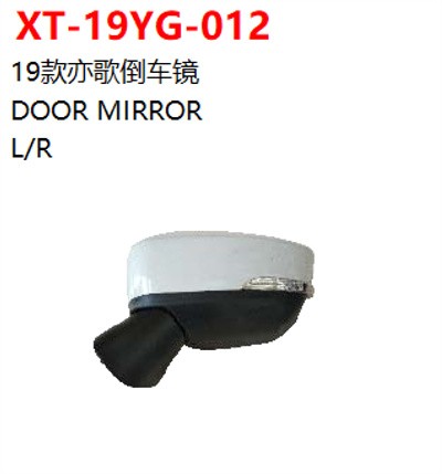 DOOR MIRROR