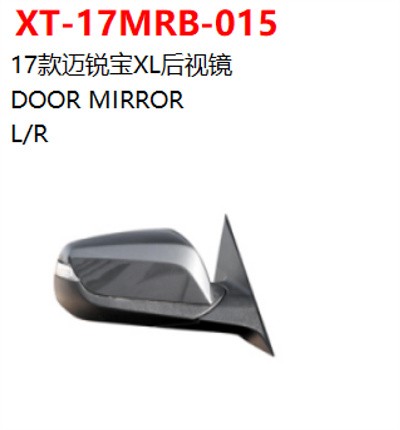 DOOR MIRROR