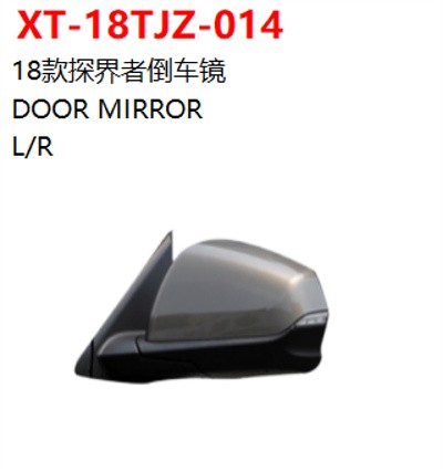 DOOR MIRROR