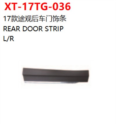 REAR DOOR STRIP