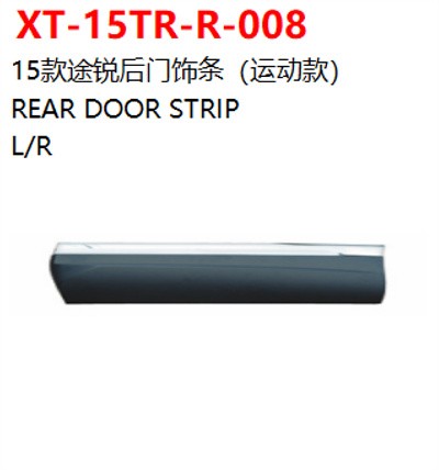 REAR DOOR STRIP