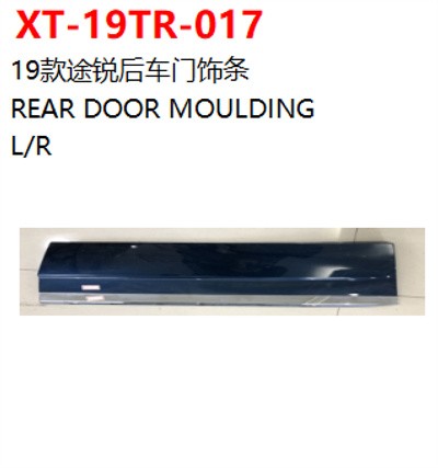 REAR DOOR MOULDING