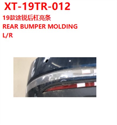 REAR BUMPER MOLDING