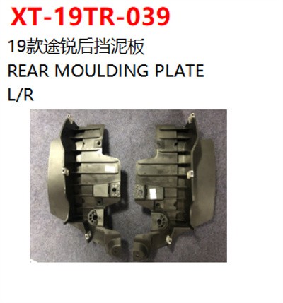 REAR MOULDING PLATE